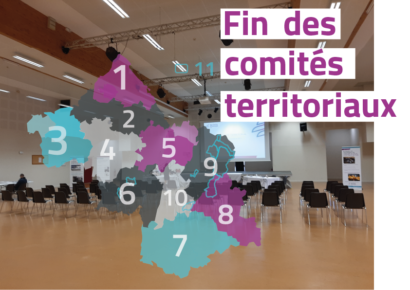 Clap de fin : les comités territoriaux sont achevés !