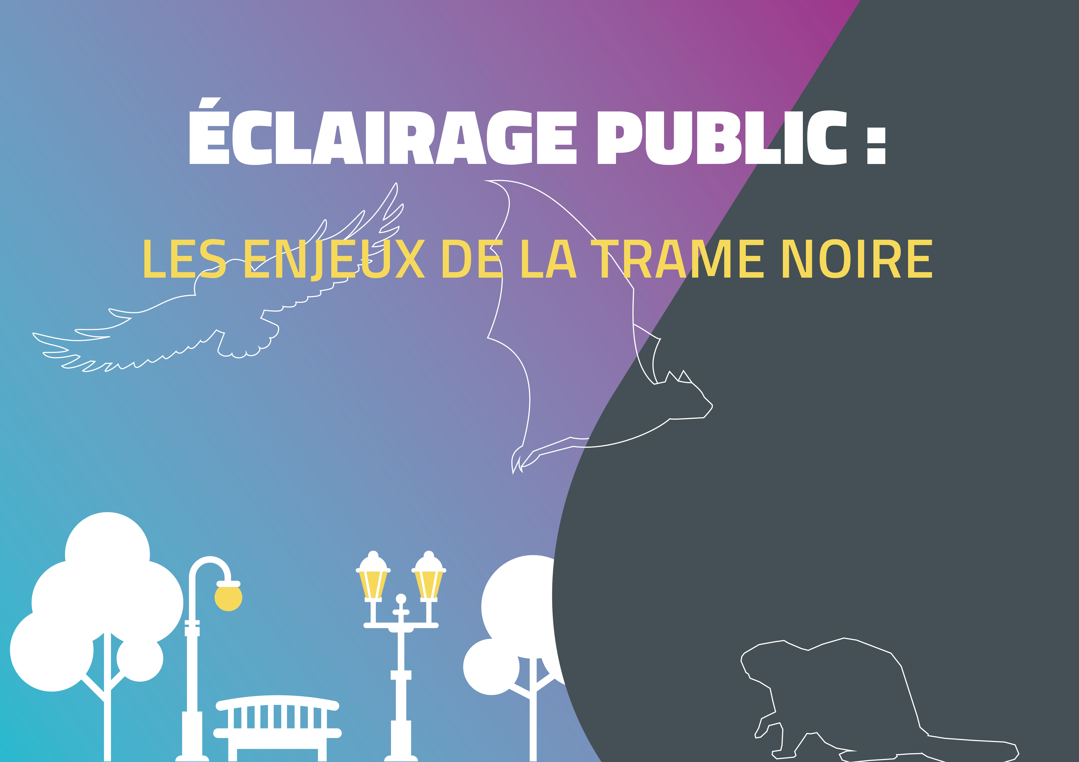 Éclairage Public : les enjeux de la trame noire